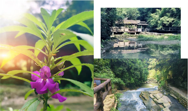 “湘”約鳳凰，相守未來——2022博皓快樂湖南行    -34